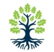 Logo représentant un arbre stylisé vert et bleu avec des racines visibles, symbole de croissance, d’enracinement et de développement durable.